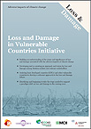 Cover: Brochure Loss and Damage