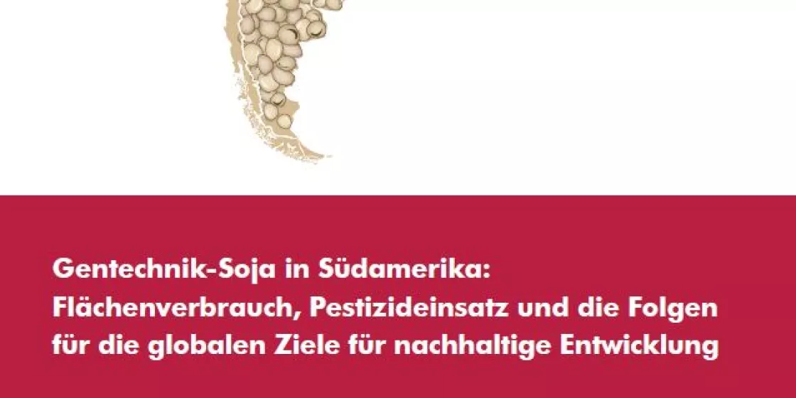 Cover Studie Gentechnik-Soda in Südamerika