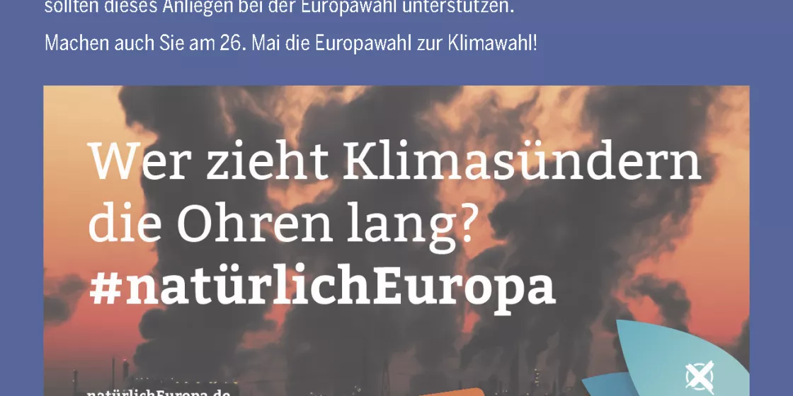 GW_Weitblick_02-2019_EU-Wahl-Kasten