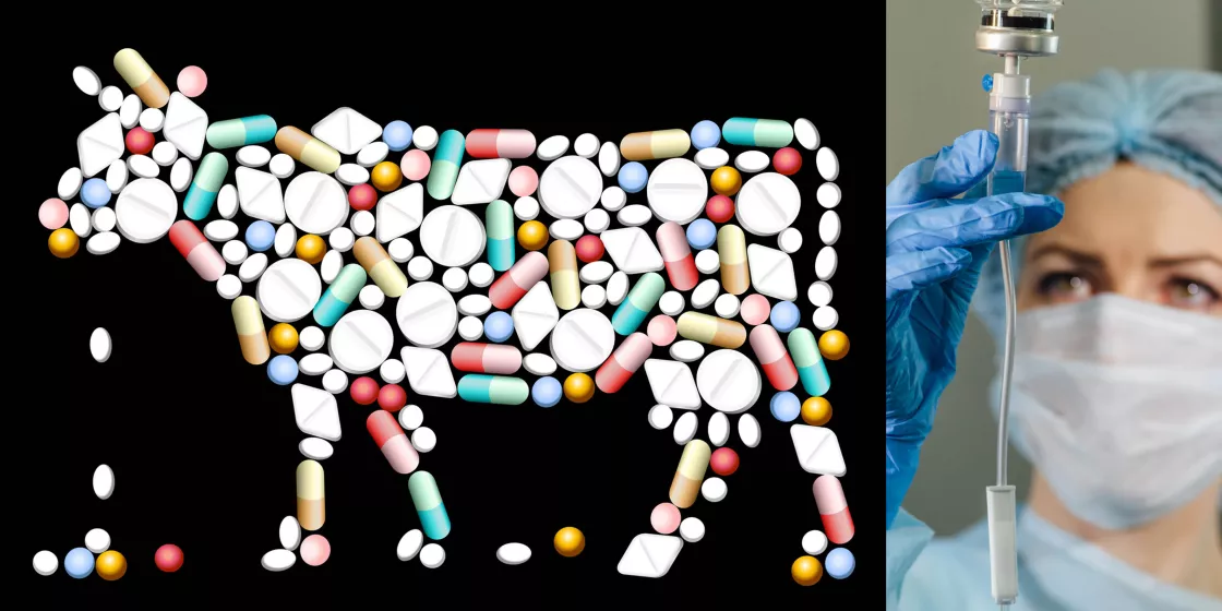 Antibiotikamissbrauch - Tiere Menschen Rechte