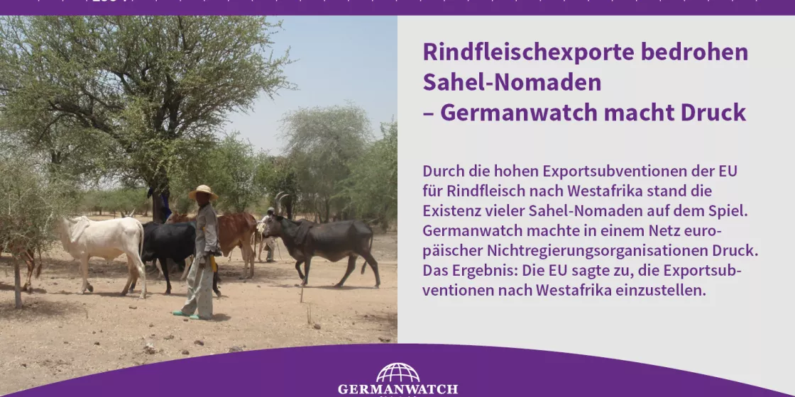 1994 - Rindfleischexporte bedrohen Sahel-Nomaden – Germanwatch macht Druck