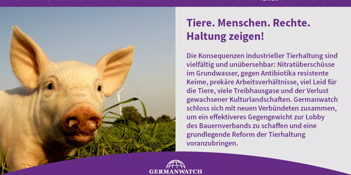 2015 - Germanwatch geht Reform der Tierhaltung mit neuer Initiative an