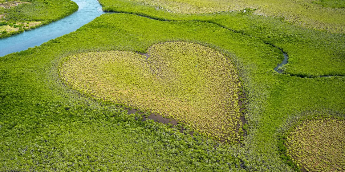 Luftaufnahme einer grünen Landschaft mit einem herzförmigen Gebiet