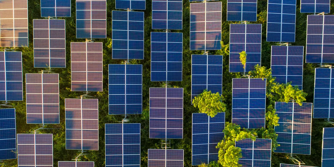 Solarpanels von oben