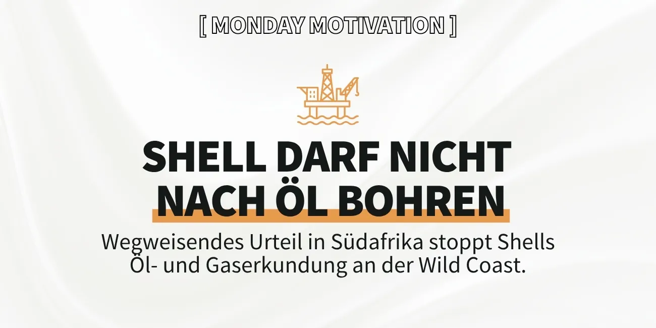 Shell darf nicht nach Öl bohren: Wegweisendes Urteil in Südafrika stoppt Shells Öl- und Gaserkundung an der Wild Coast.