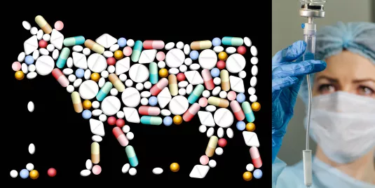 Antibiotikamissbrauch - Tiere Menschen Rechte