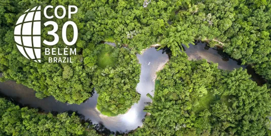 Luftbild vom Amazonasregenwald mit Schriftzug COP30 Belem, Brasilien