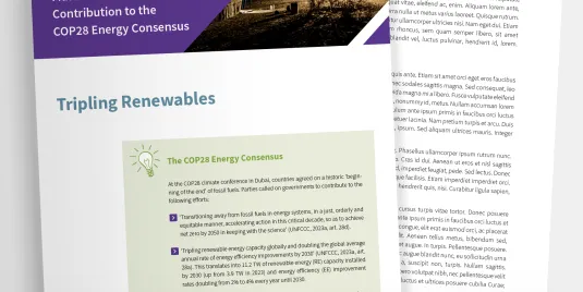 preview image fact sheet 01