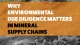 Why environmental due diligence matters in minerals supply chain : the case of the planned LLurimagua copper mine, Ecuador 