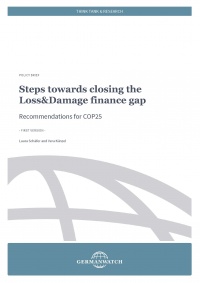 Policy Briefing: Steps towards closing the Loss&Damage finance gap
