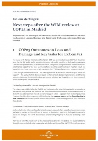 ExCom Meeting #11: Next steps after the WIM review at COP25 in Madrid 