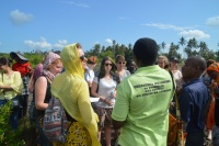 Fiel Visit to Magrove Reforestation Project in Jozani, Zanzibar