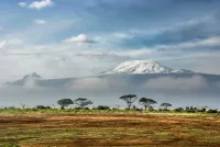 Blick in den Amboseli-Nationalpark in Kenia