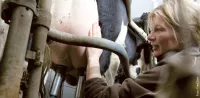 Weitblick-Bild 2/14: Bäuerin neben Kuh