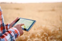 Landwirt*in auf einem Kornfeld mit einem Tablet in der Hand