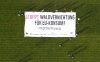 "STOPPT WALDVERNICHTUNG FÜR EU-KONSUM!"