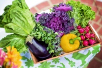 Gemüse-Kiste als Symbolbild für gesunde Ernährung