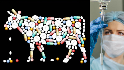 Antibiotikamissbrauch - Tiere Menschen Rechte
