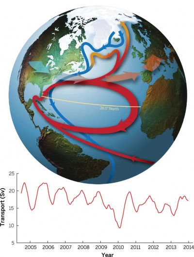 Fig. 1. Simplified schematic of the AMOC: Warm currents flow north (red) and give up heat to the atmosphere. After that, they sink and return as a cold flow (blue) deep down in the ocean (Srokosz and Bryden, 2015).