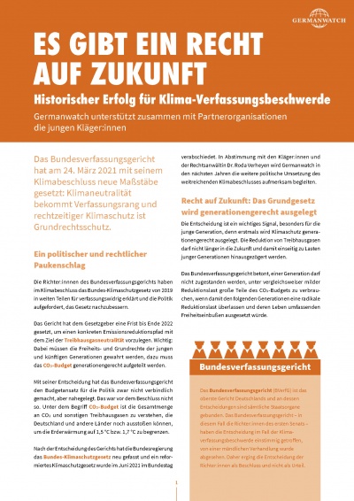 Cover Factsheet Verfassungsbeschwerde
