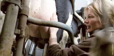 Weitblick-Bild 2/14: Bäuerin neben Kuh