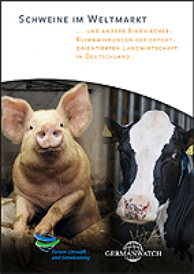 Cover Schweine im Weltmarkt