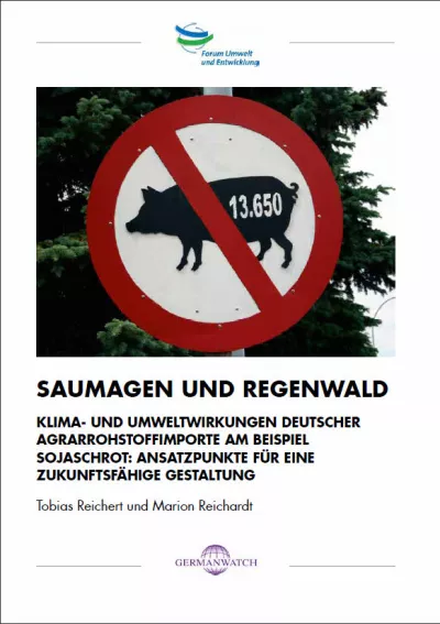 Deckblatt: Saumagen und Regenwald