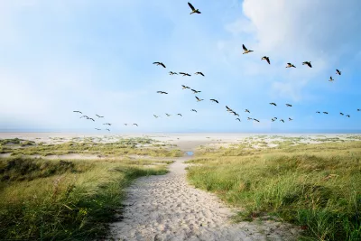Sandiger Weg zum Meer auf Langeoog