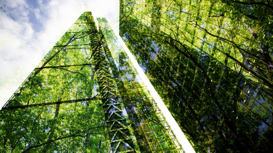 Wolkenkratzer, in dessen Glasfassade sich ein grüner Wald spiegelt