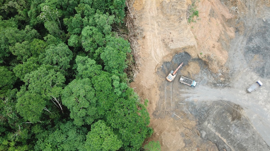 Luftbild von Entwaldung in Borneo