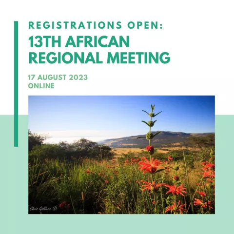 13th African Regional Meeting