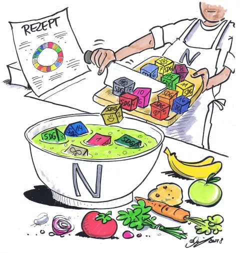 SDG-Würfel werden in Schüssel gemischt
