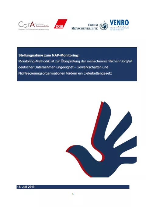 Stellungnahme zum NAP-Monitoring