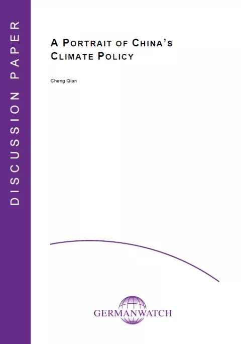 A Portrait of China's Climate Policy