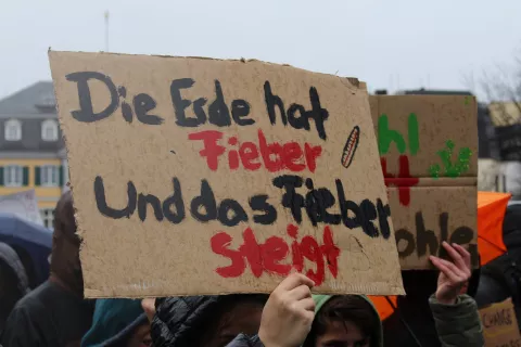FFF Demo Bonn