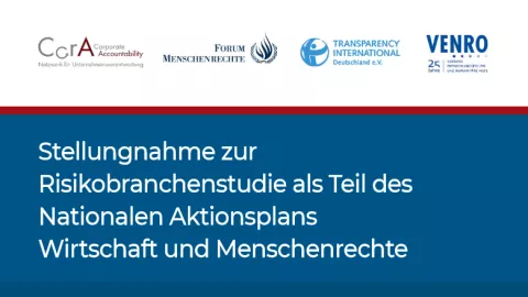 Stellungnahme Risikobranchenstudie Titelblatt