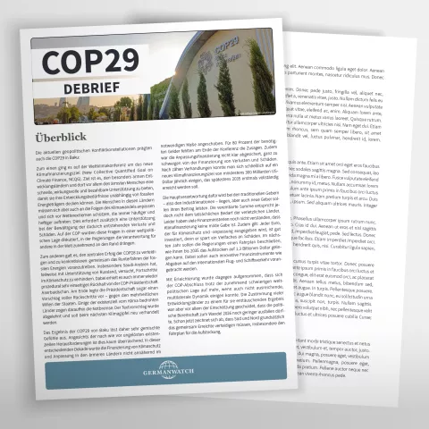 Vorschaubild zum COP29-Debrief