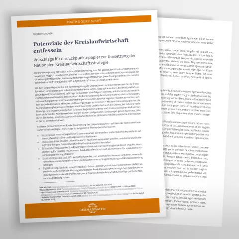 Vorschaubild zur Publikation
