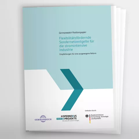 Titelbild einer Fachpublikation zum Thema flexibilitätsfördernde Sondernetzentgelte