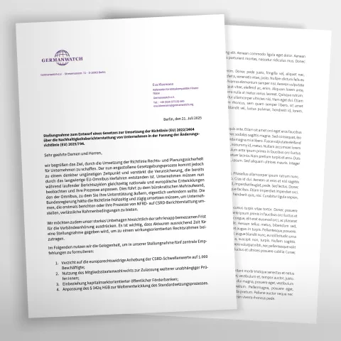 Erste Seite einer Stellungnahme zur Nachhaltigkeitsberichterstattung von Unternehmen