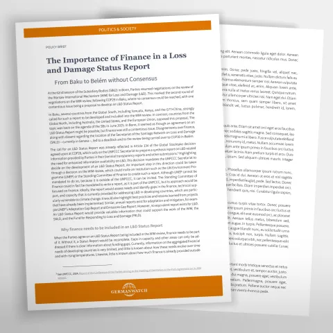 Nur Text auf dem Titelbild einer Fachpublikation zur Finanzierung von Loss and Damage