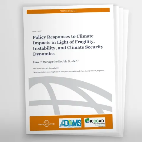 Titelbild einer Publikation zum Thema Policy Responses to Climate Impacts