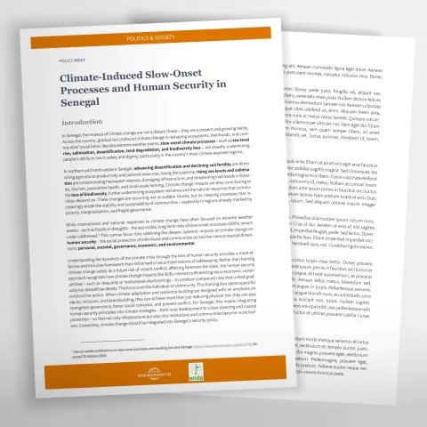 Erste Seite mit Text einer Fachpublikation