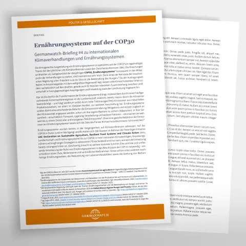 Vorschaubild zur Publikation