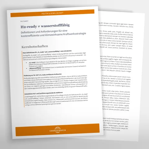 Vorschaubild Factsheet