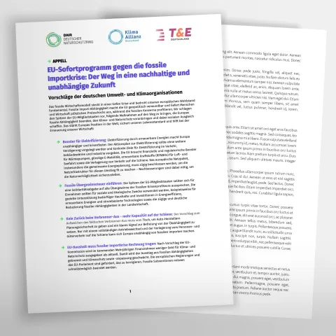 Erste Seite eines Appells für Sofortmaßnahmen gegen die fossile Energiekrise