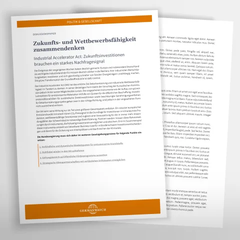 Vorschaubild zum Diskussionspapier