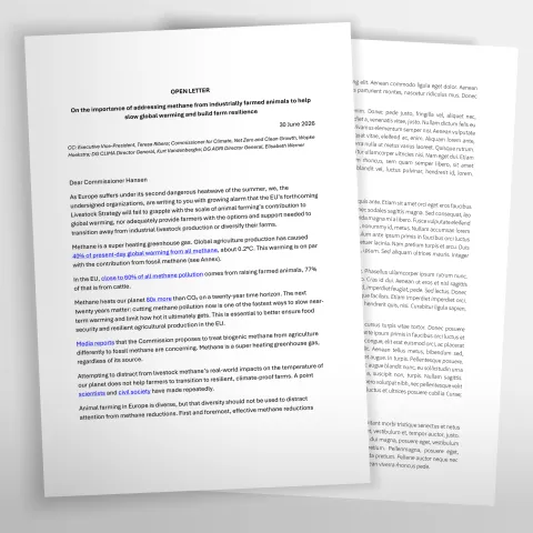 headerbild open letter from ngos