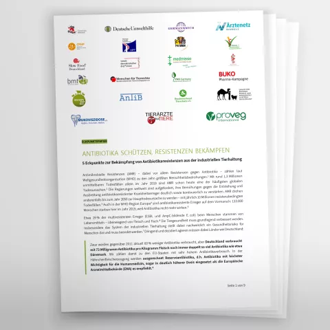 Titesteite des Eckpunktepapiers