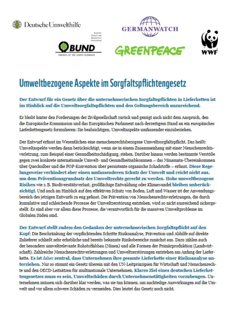Cover: Stellungnahme - Umweltbezogene Aspekte im Sorgfaltspflichtengesetz